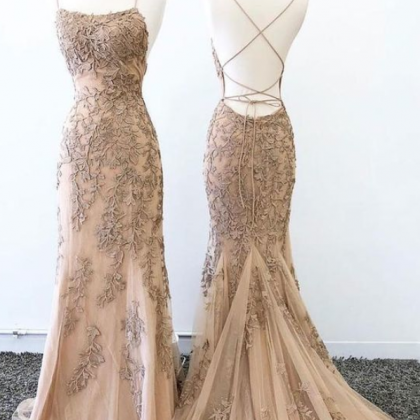Gorgeous Champagne Tulle Lace Long Prom Dress,..