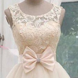 Champagne Lace Tulle Off The Shoulder Short Skirt..