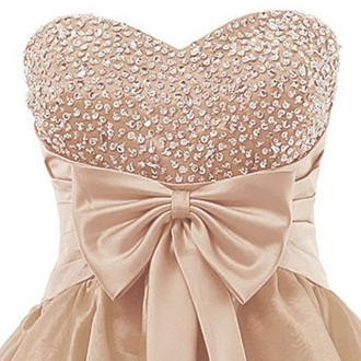 Lovely Organza Champagne Short Junior Prom..