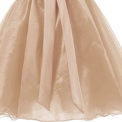 Lovely Organza Champagne Short Junior Prom..
