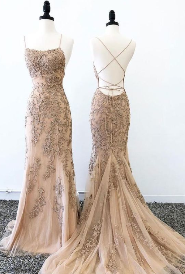 Gorgeous Champagne Tulle Lace Long Prom Dress, Champagne Evening Dress