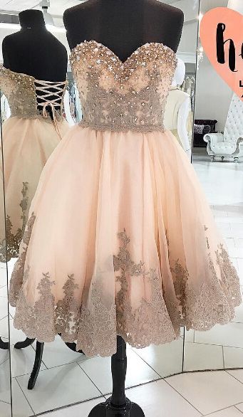 Homecoming Dress,lace Homecoming Dresses,champagne Homecoming Gowns,ball Gown Homecoming Dresses,sweet 16 Dress For Teens