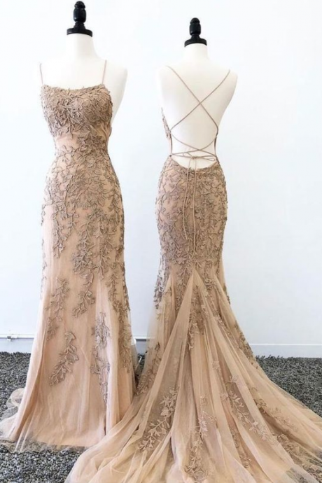 Gorgeous Champagne Tulle Lace Long Prom Dress, Champagne Evening Dress
